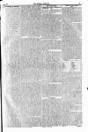 Weekly Dispatch (London) Sunday 17 January 1841 Page 5