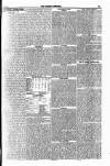 Weekly Dispatch (London) Sunday 04 July 1841 Page 7