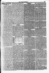 Weekly Dispatch (London) Sunday 17 October 1841 Page 7