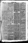 Weekly Dispatch (London) Sunday 08 January 1871 Page 7