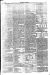 Weekly Dispatch (London) Sunday 05 February 1871 Page 11