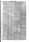 Weekly Dispatch (London) Sunday 21 June 1874 Page 11