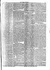 Weekly Dispatch (London) Sunday 05 July 1874 Page 3