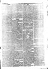 Weekly Dispatch (London) Sunday 10 January 1875 Page 7