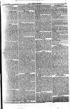 Weekly Dispatch (London) Sunday 27 June 1875 Page 5