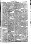 Weekly Dispatch (London) Sunday 03 October 1875 Page 5