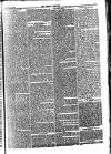 Weekly Dispatch (London) Sunday 31 October 1875 Page 7