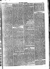 Weekly Dispatch (London) Sunday 31 October 1875 Page 11