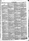 Weekly Dispatch (London) Sunday 02 January 1876 Page 5