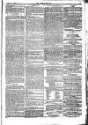 Weekly Dispatch (London) Sunday 02 January 1876 Page 13