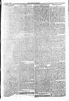 Weekly Dispatch (London) Sunday 06 February 1876 Page 7