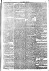 Weekly Dispatch (London) Sunday 20 February 1876 Page 5