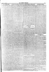 Weekly Dispatch (London) Sunday 19 March 1876 Page 5