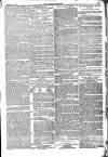 Weekly Dispatch (London) Sunday 07 January 1877 Page 13