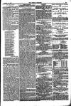 Weekly Dispatch (London) Sunday 14 January 1877 Page 13