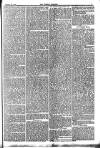 Weekly Dispatch (London) Sunday 21 January 1877 Page 5