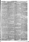 Weekly Dispatch (London) Sunday 11 February 1877 Page 5