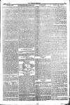 Weekly Dispatch (London) Sunday 04 March 1877 Page 7