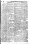 Weekly Dispatch (London) Sunday 04 March 1877 Page 11