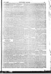 Weekly Dispatch (London) Sunday 05 February 1882 Page 11