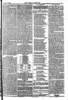 Weekly Dispatch (London) Sunday 17 February 1884 Page 7