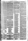 Weekly Dispatch (London) Sunday 24 February 1884 Page 7