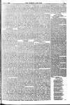 Weekly Dispatch (London) Sunday 01 February 1885 Page 9