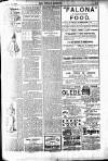 Weekly Dispatch (London) Sunday 19 February 1899 Page 17