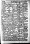 Weekly Dispatch (London) Sunday 19 January 1902 Page 11