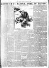 Weekly Dispatch (London) Sunday 23 January 1916 Page 7
