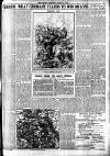 Weekly Dispatch (London) Sunday 05 March 1916 Page 7