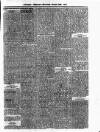 Antigua Observer Friday 28 April 1871 Page 3