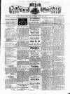 Antigua Observer Saturday 22 March 1873 Page 1