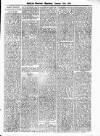 Antigua Observer Saturday 03 January 1874 Page 3