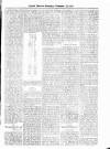 Antigua Observer Saturday 07 November 1874 Page 3