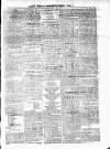 Antigua Observer Saturday 24 April 1875 Page 3