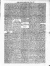 Antigua Observer Saturday 17 March 1877 Page 3