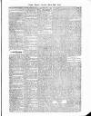Antigua Observer Saturday 23 March 1878 Page 3