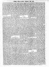 Antigua Observer Monday 20 September 1880 Page 3