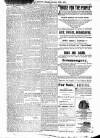 Antigua Observer Monday 24 January 1881 Page 3