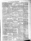 Antigua Observer Thursday 23 January 1890 Page 3