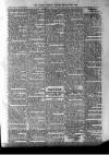 Antigua Observer Thursday 20 February 1890 Page 3