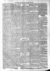 Antigua Observer Thursday 09 April 1891 Page 3