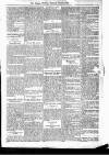 Antigua Observer Thursday 29 December 1892 Page 3