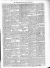 Antigua Observer Thursday 29 June 1893 Page 3