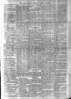 Antigua Observer Thursday 06 December 1894 Page 3