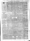 Antigua Observer Thursday 25 April 1895 Page 3