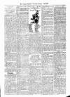 Antigua Observer Thursday 21 January 1897 Page 3