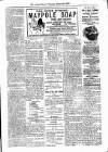 Antigua Observer Thursday 23 March 1899 Page 3