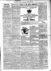 Antigua Observer Thursday 12 April 1900 Page 3